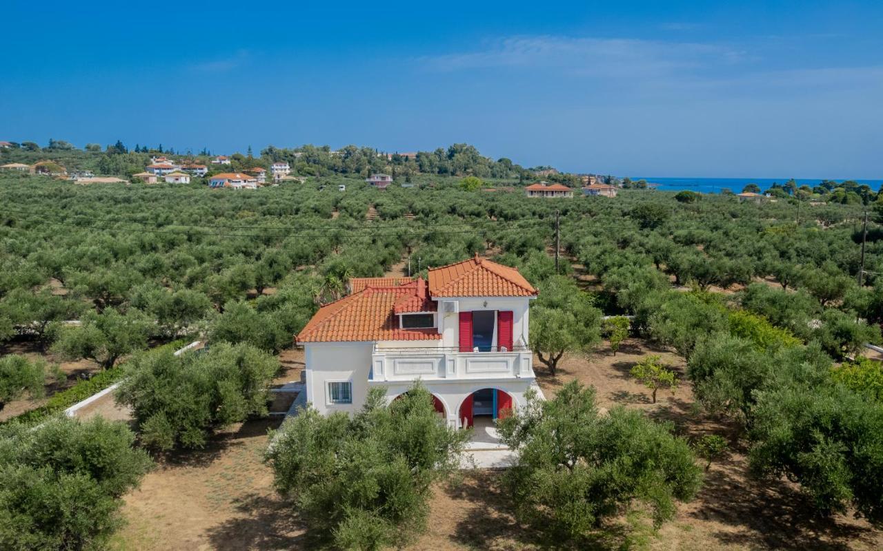 Lenna'S Villas Zante Vasilikí Екстериор снимка